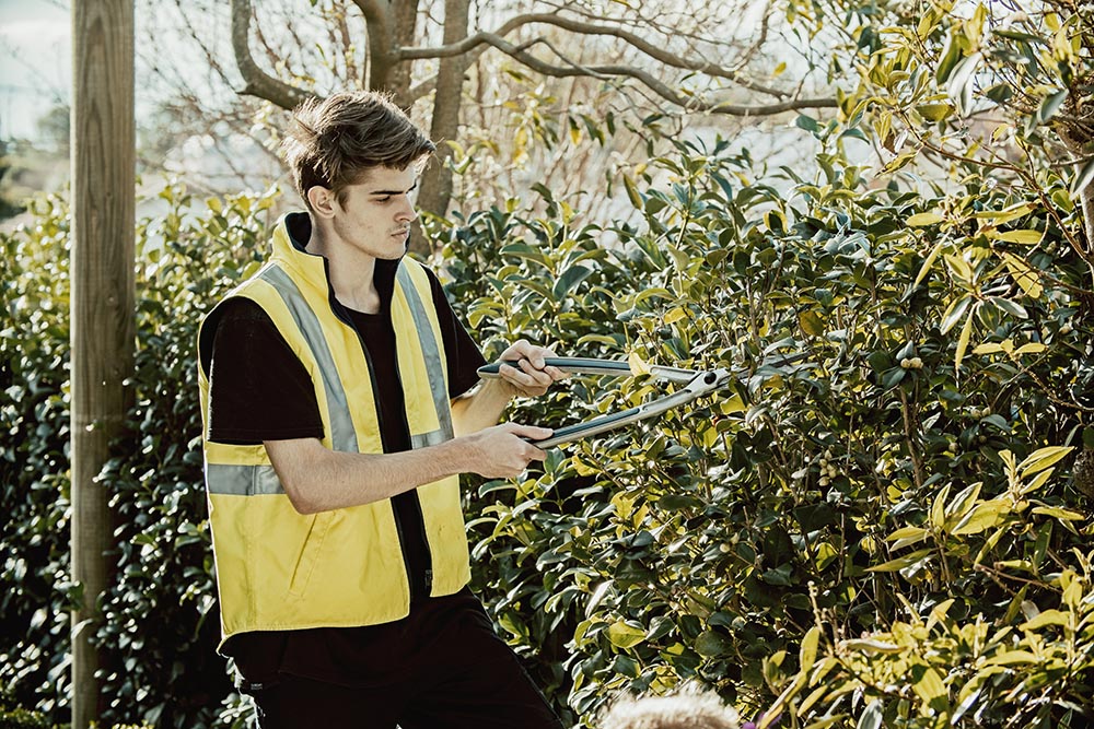 YES_Landscaping Mai-Wel LabourForce Solutions provides specialised employment services for youth and people with disability.